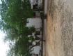 500 Sq Yd Residential Plot In , Sector 50, Gurgaon