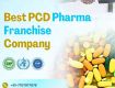 pcd pharma company in india