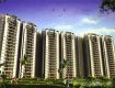 2 BHK 1202 Sq Ft Apartment In Logix Blossom County, Sector 137, Noida