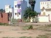 800 Sq Ft Residential Plot In Sri Maheshwari Avenue, Sriperumbudur, Chennai