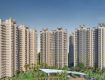 3 BHK 1750 Sq Ft Apartment In SS The Coralwood, Sector 84, Gurgaon