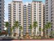 3 BHK 740 Sq Ft Apartment In Terra Lavinium, Sector 75, Faridabad