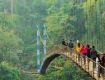 Enjoy with your kids at Wildlife Tour packages in Meghalaya