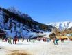 Honeymoon Tour Packages to reach sky with your dreams in manali