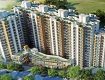 2 BHK 543 Sq Ft Apartment In Signature Orchard Avenue, Sector 93, Gurgaon