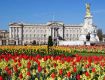 Best offers on Holiday Tour Packages to london