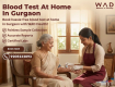 Blood Test at Home in Gurgaon - WAD Health