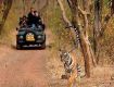 Enjoy with your kids at Wildlife Tour packages in jaipur