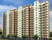 1 BHK 389 Sq Ft Apartment In Dreams Avani, Manjri, Pune