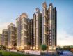 1 BHK 514 Sq Ft Apartment In Shapoorji Pallonji Joyville, Hinjawadi, Pune