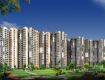 3 BHK 1340 Sq Ft Apartment In Exotica Dreamville, Sector 16C, Greater Noida
