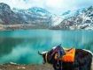 Great holiday packages complete with sightseeing tours For Gangtok