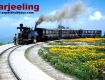 Travel More, Worry Less: Focuses on stress relie at Darjeeling.