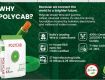 Polycab Green Wire Distributors