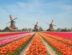 Hangout with best offers with Incentive, Corporate, Family & Group Tours in Netherlands
