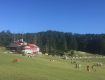 Best offers on Eco Tour packages Dalhousie