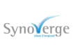 Synoverge Technologies Pvt. Ltd.