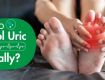 Homeopathy Treatment For Uric Acid