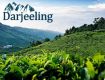 Fresh yourself by Nature Tour packages Dargeeling