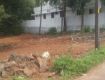 16117 Sq Ft Residential Plot In Jems Properties, Thrissur, Kochi