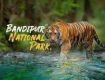 Enjoy with your kids at Wildlife Tour packages in Bandipur National Park