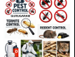 Pest Control Services In Gurugram