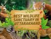 Enjoy with your kids at Wildlife Tour packages of Uttarakhand