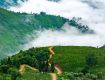 Tourism industry brings to you the best-in-class Holiday Packages For Darjeeling
