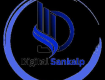 Leading digital marketing agency in Pune|Digital Sankalp
