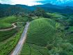 Honeymoon Tour Packages to reach sky with your dreams Munnar