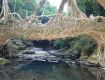Best offers on Holiday Tour Packages in meghalay