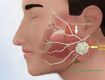 Best Onco Surgeon in Raja Park Jaipur
