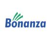 Bonanza Portfolio Limited
