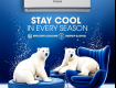 Haves Air Conditioner | Efficient Cooling & Energy Saving AC