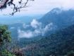 Emerald Forest Beauty of Agumbe