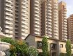4 BHK 3739 Sq Ft Row House In Sobha City, Hebbal, Bangalore