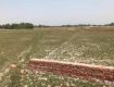 1800 Sq Ft Residential Plot In , Bagiamau, Lucknow