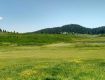 Fresh yourself by Nature Tour packages in kashmir