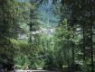 You are ahead to fulfill your energy with our Adventure Tour packages