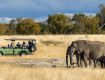 Great holiday packages complete with sightseeing tours For Zimbabwe