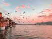 Best Tourism Services with Udaipur to provide secure value for your money