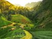 An opportunity to get best services for Hotels in Assam
