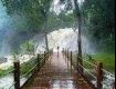 Improve your knowledge with our Coorg Customized Holiday Packages.