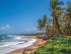 Seasonal trips with best Monsoon Tour packages in goa
