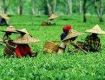 Planning the Assam trip, booking travel tickets then this is the right space for booking the cheapest rates.