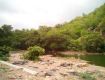 Best Tourism Services with Polo Forest to provide secure value for your money