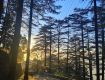 Best outing with Car Rental Tour packages in Dehradun