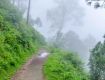 Best offers on Domestic Air or Train Packages in Kasauli