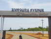 Siva Guru Avenue - Marungulam to Thirukanurpatti Road , Thanjavur