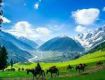 Our holiday travel packages encompass everything the traveler needs For kashmir